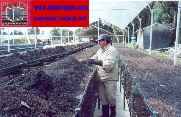 banco para cultivar plantas sembrar plantar germinar enraizar sustrato tierra vegetal cultivo tecnificado de flores legumbres arboles plantas hortalizas en mesón mesa para germinar propagar 003 banco para cultivar plantas sembrar plantar germinar enraizar sustrato tierra vegetal cultivo tecnificado de flores legumbres arboles plantas hortalizas en mesón mesa para germinar propagar 003 01 02 banco para cultivar plantas sembrar plantar germinar enraizar sustrato tierra vegetal cultivo tecnificado de flores legumbres arboles banco para cultivar plantas sembrar plantar germinar enraizar sustrato tierra vegetal cultivo tecnificado de flores legumbres arboles plantas hortalizas en mesón mesa para germinar propagar 003 plantas hortalizas en mesón mesa para germinar propagar 003